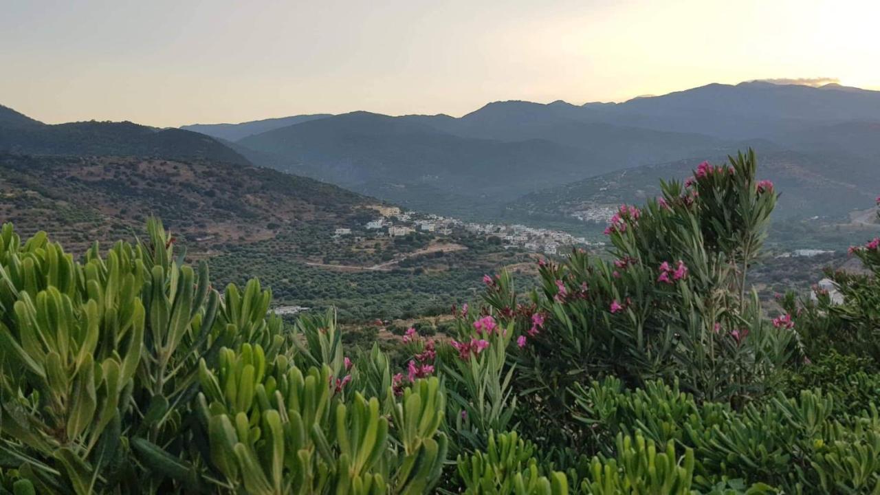 Marina Deluxe Villa Istro